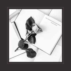 2024gay彩虹男男h视频
