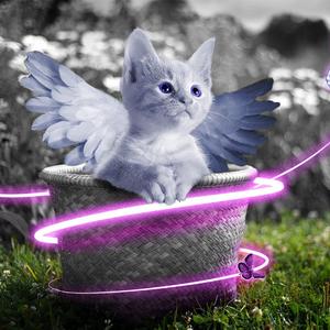 2024gay彩虹男男h视频
