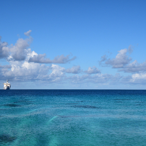 2024gay彩虹男男h视频
